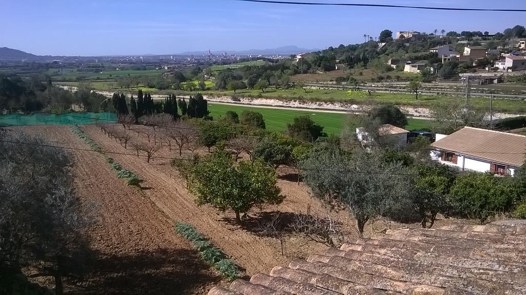 La Casita Villa Manacor  Dış mekan fotoğraf